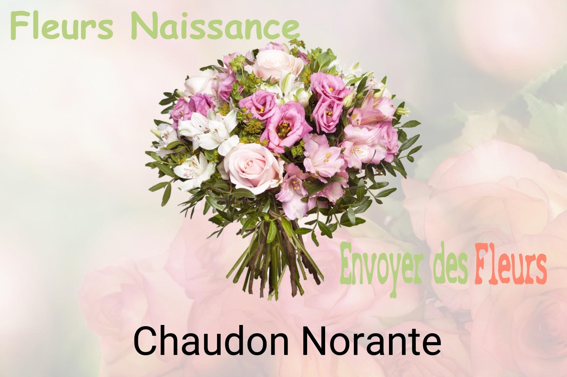 Bouquet de fleurs de naissance livré à Chaudon-Norante